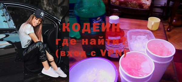 прущие грибы Гусиноозёрск