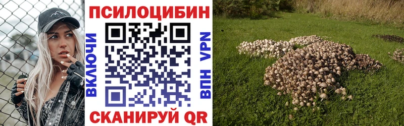ссылка на мегу ТОР Валдай Галлюциногенные грибы Magic Shrooms